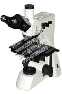 L3030透反射显微镜